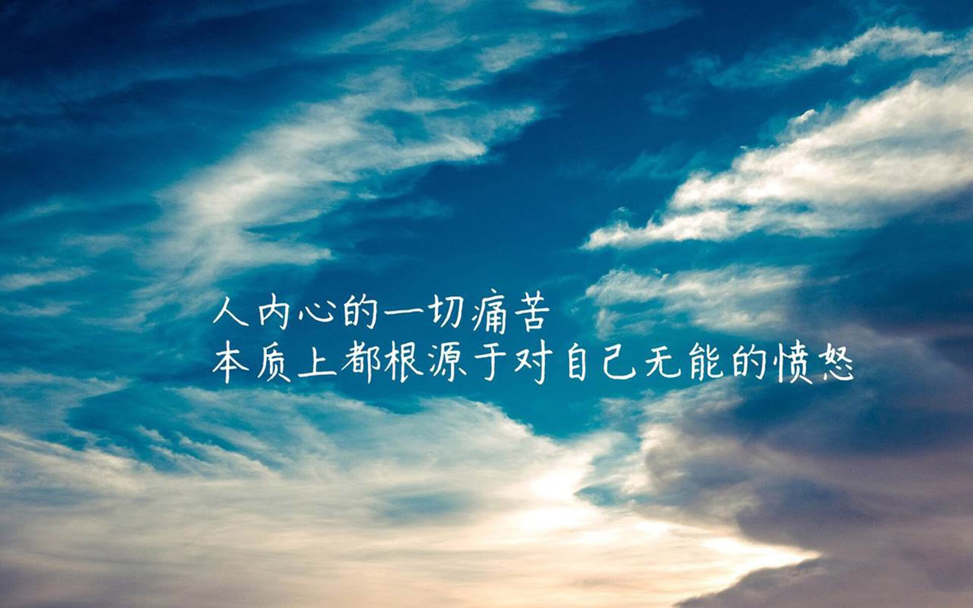 爱游戏登录入口-摩洛哥马术协会与兽医合作，开展马匹疾病预防与治疗研究。，摩洛哥 marrakech
