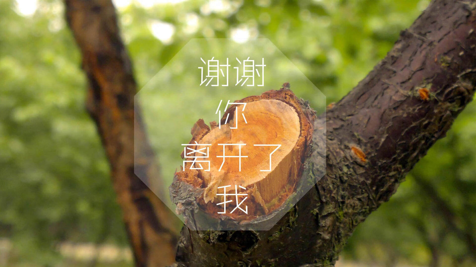 C罗队内表现被称为最佳榜样,c罗评心中最佳阵容