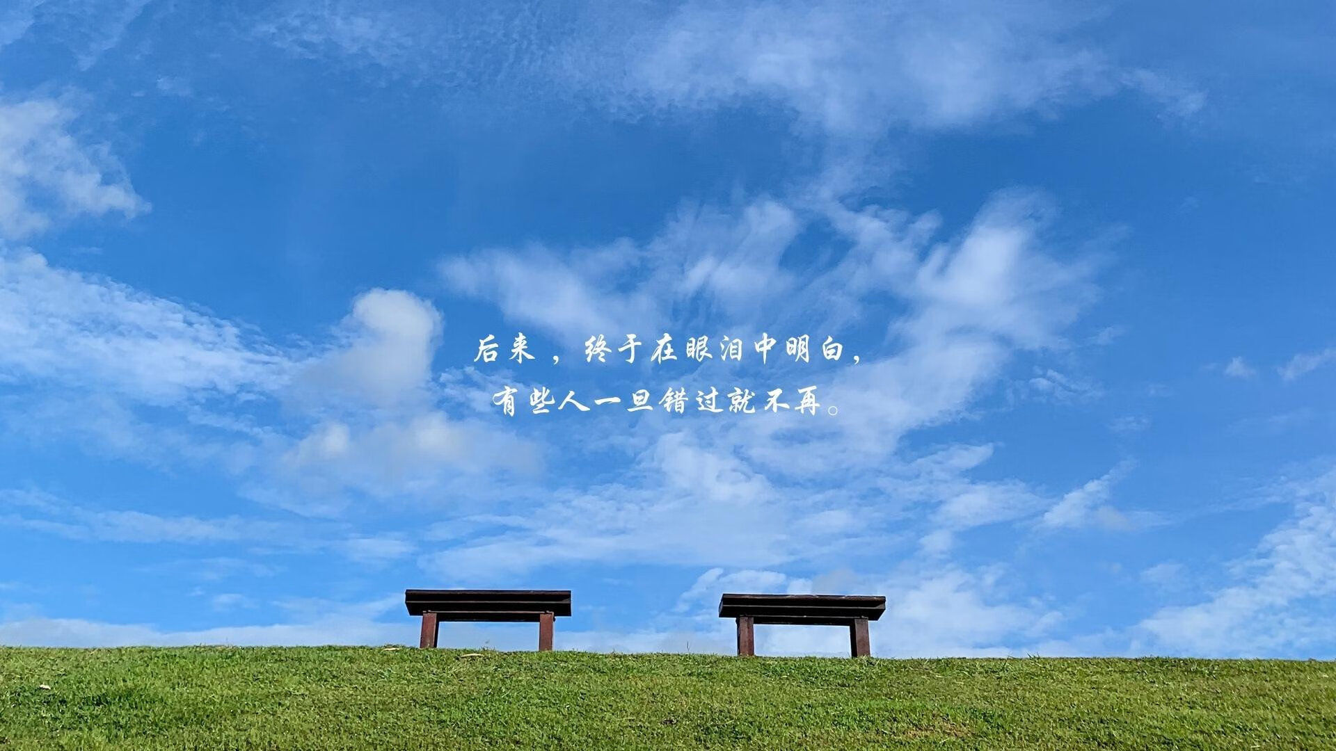 新西兰橄榄球的未来蓝图：从基层到国际舞台，新西兰橄榄球比赛视频
